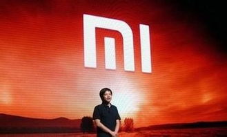 从“小米”到“大米” 没有工厂的中国智能制造与互联网销售